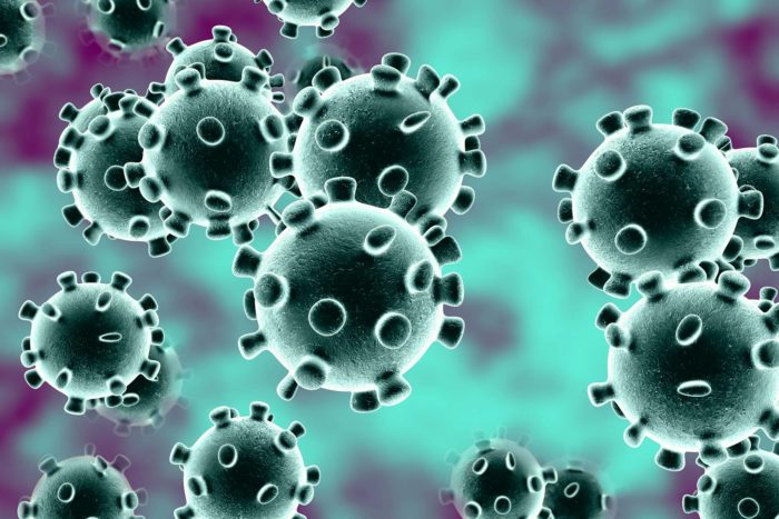 What you should know about the coronavirus