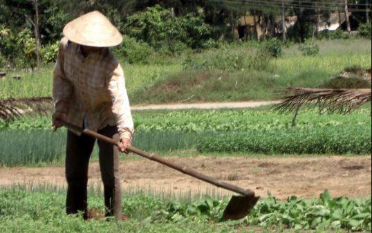 Man kills wife with hoe in Niger