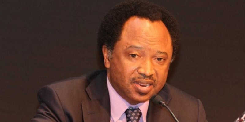 Shehu Sani released after four weeks in EFCC custody