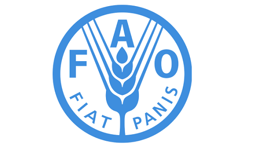 FAO gets 17m euros from Germany to combat locusts
