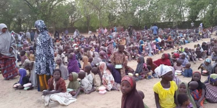 COVID 19: Borno bans visits to IDP camps