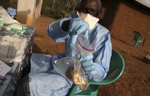 Lassa fever: Death toll hits 193